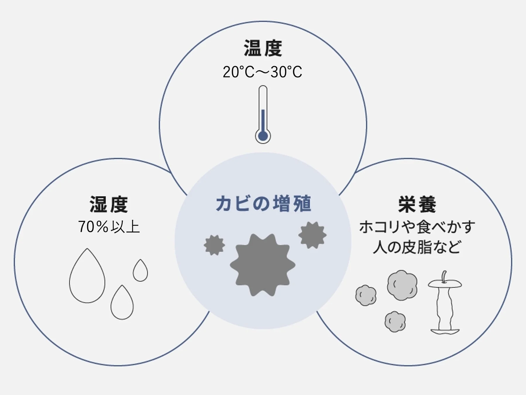 カビの増殖条件のイラスト